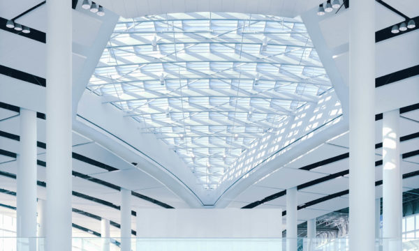 Executive Brief – Buy, Don’t Build or Customize Your Collection and Recovery Platform